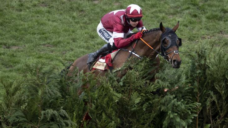 Tiger Roll is back at Aintree but will miss the National fences